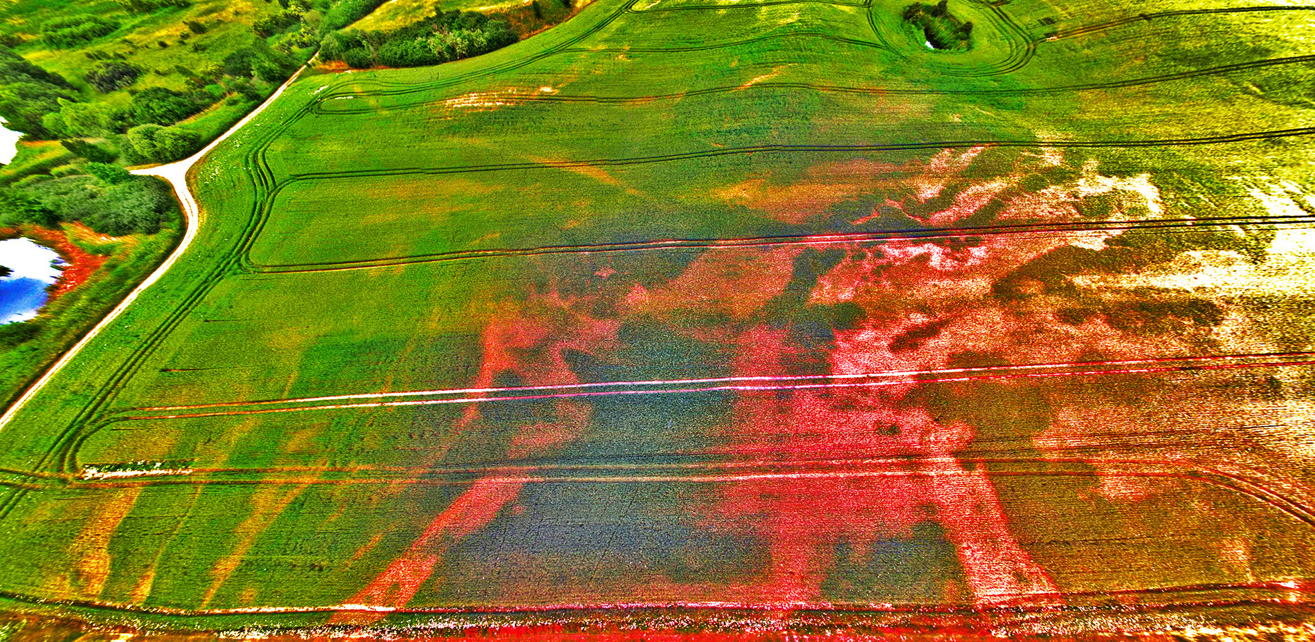 Dipl.-Ing. Anja Junge, Öffentlich bestellte Vermessungsingenieurin im Land Brandenburg